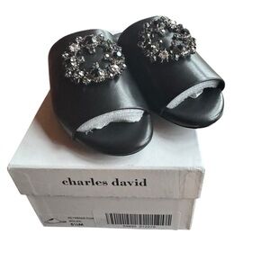 NIB Charles David Soleil Crystal‎ Leather Slide Sandals